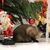 Image-square_50
