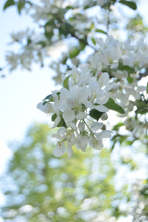 Image-preview_300x200