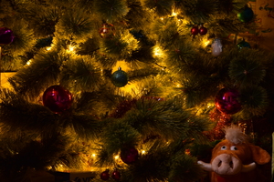 Image-preview_300x200