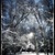 Image-square_50