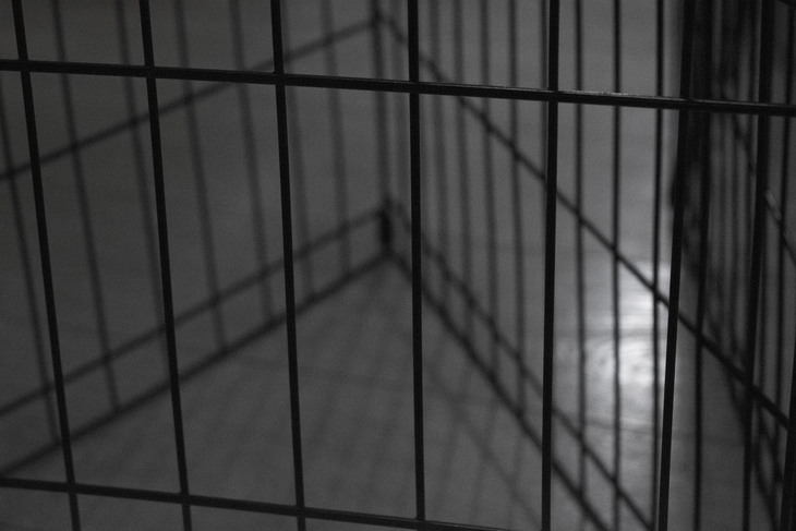 Image-normal