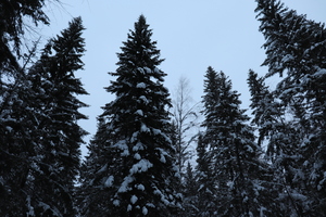 Image-preview_300x200