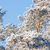 Image-square_50