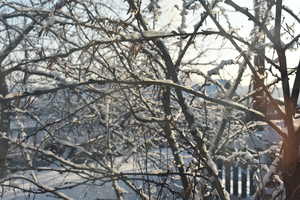 Image-preview_300x200