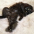 Image-square_50
