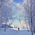 Image-square_50