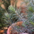 Image-square_50