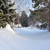 Image-square_50