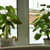 Image-square_50