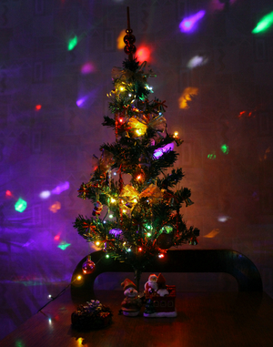 Image-preview_300x200