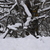 Image-square_50