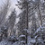Image-square_50