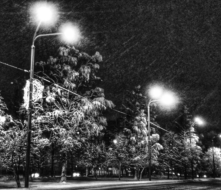 Image-normal
