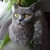 Image-square_50