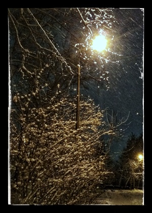 Image-preview_300x200