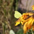 Image-square_50