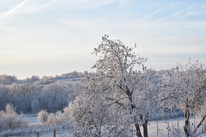 Image-preview_300x200