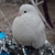 Image-square_50