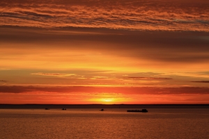 Image-preview_300x200