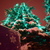 Image-square_50