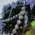 Image-square_50