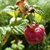 Image-square_50