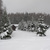 Image-square_50