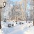 Image-square_50