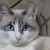 Image-square_50