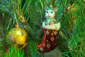Image-preview_300x200