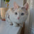 Image-square_50