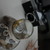 Image-square_50