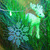 Image-square_50