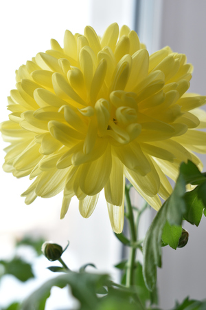 Image-preview_300x200