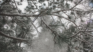 Image-preview_300x200