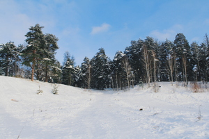 Image-preview_300x200