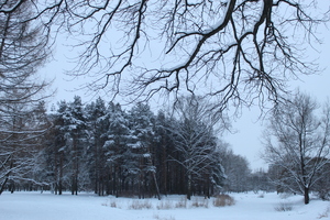 Image-preview_300x200