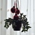 Image-square_50