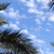 Image-square_50