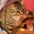 Image-square_50