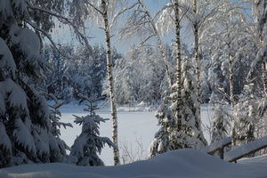 Image-preview_300x200