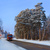 Image-square_50