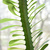 Image-square_50