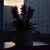 Image-square_50