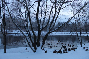 Image-preview_300x200
