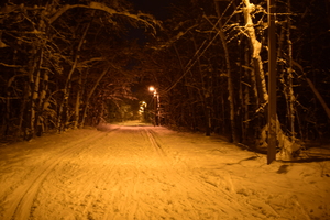 Image-preview_300x200