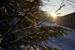 Image-preview_300x200