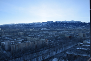 Image-preview_300x200