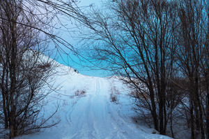 Image-preview_300x200