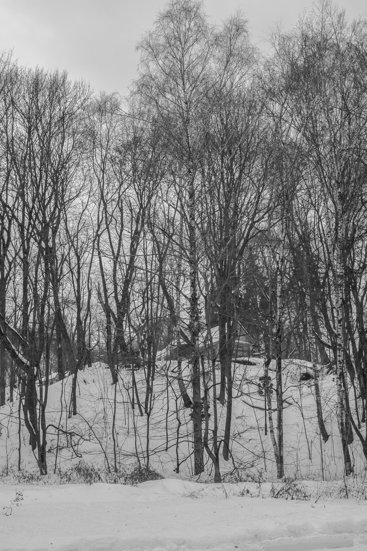 Image-normal